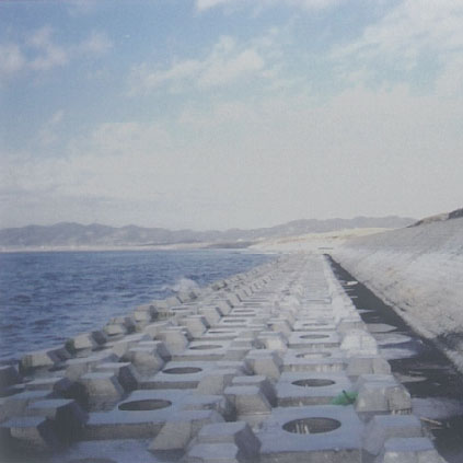 藤原防災(zāi)林